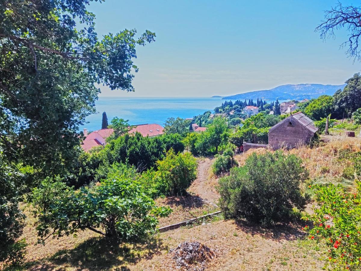 Dubrovnik Moonshine Apartment Mlini Zewnętrze zdjęcie
