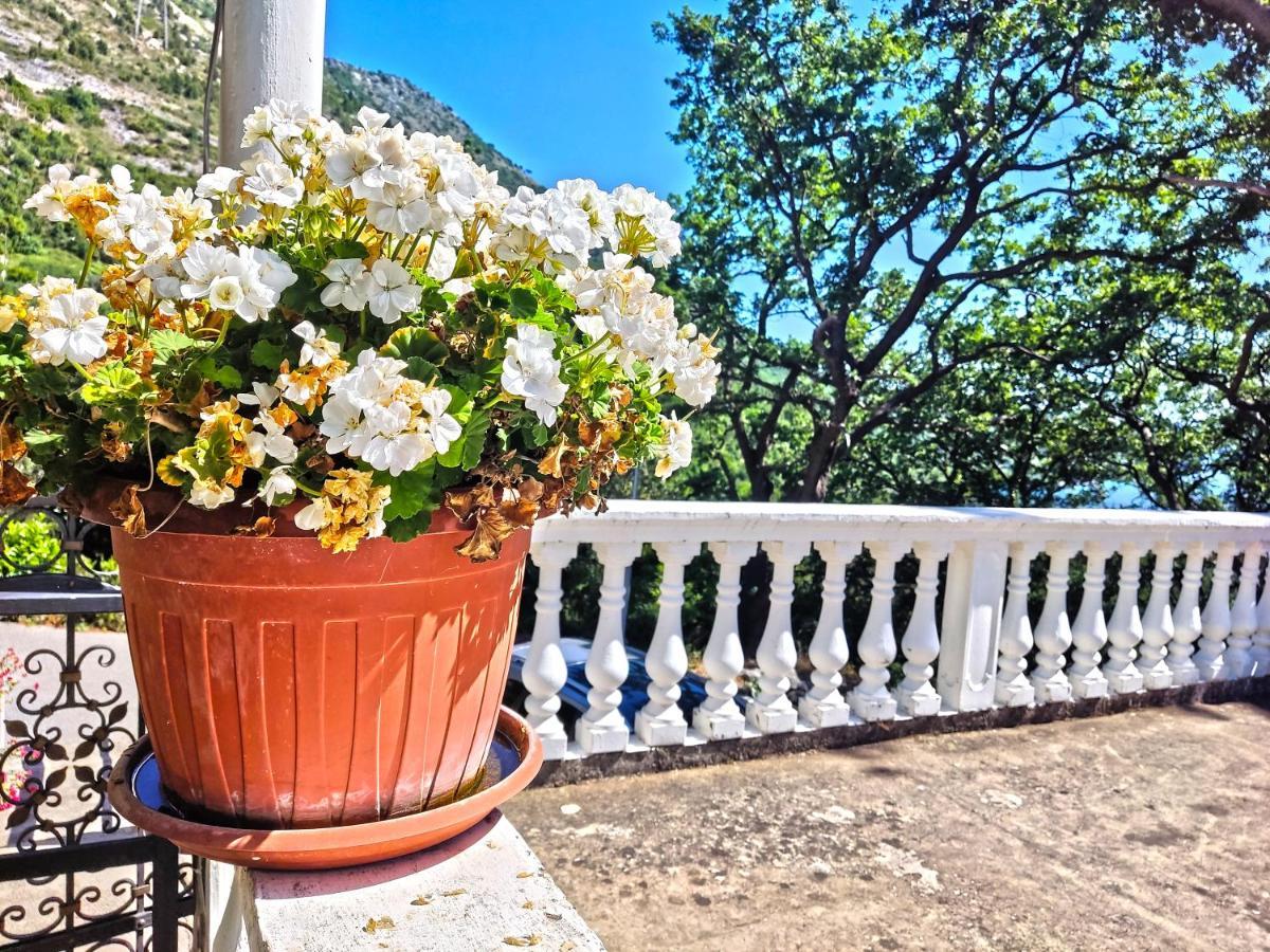 Dubrovnik Moonshine Apartment Mlini Zewnętrze zdjęcie