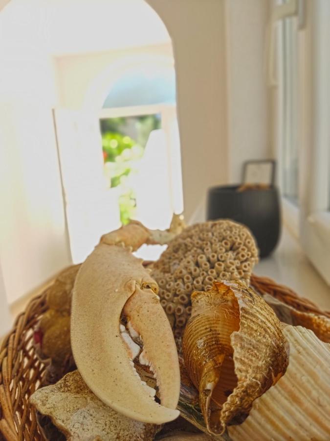 Dubrovnik Moonshine Apartment Mlini Zewnętrze zdjęcie
