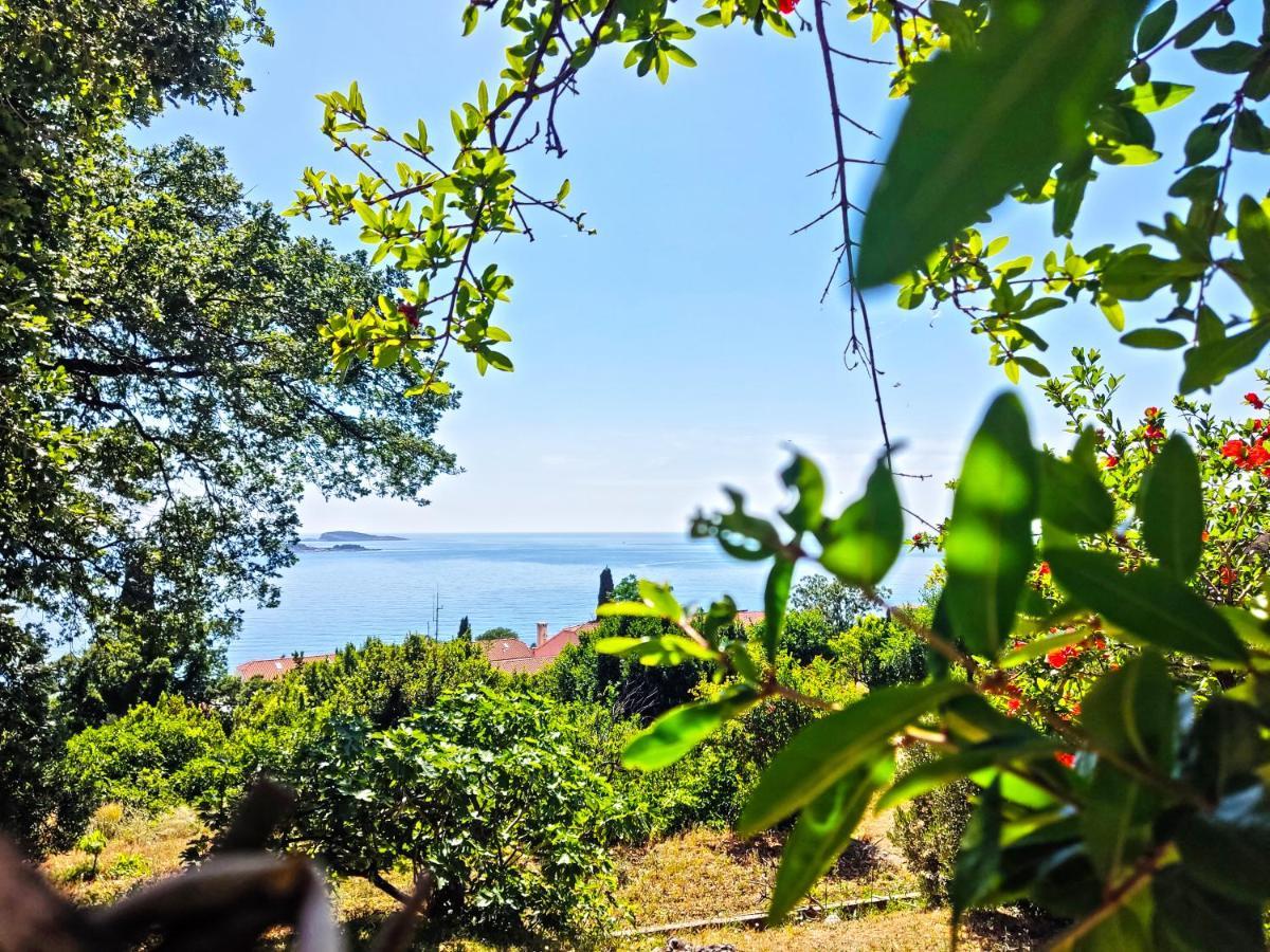 Dubrovnik Moonshine Apartment Mlini Zewnętrze zdjęcie