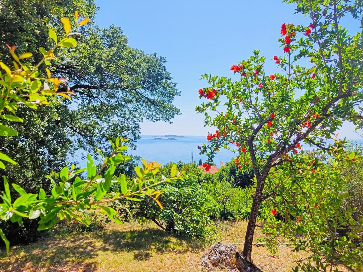 Dubrovnik Moonshine Apartment Mlini Zewnętrze zdjęcie